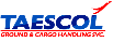 Soporte Taescol - Servicio prestado por Engitech SAS